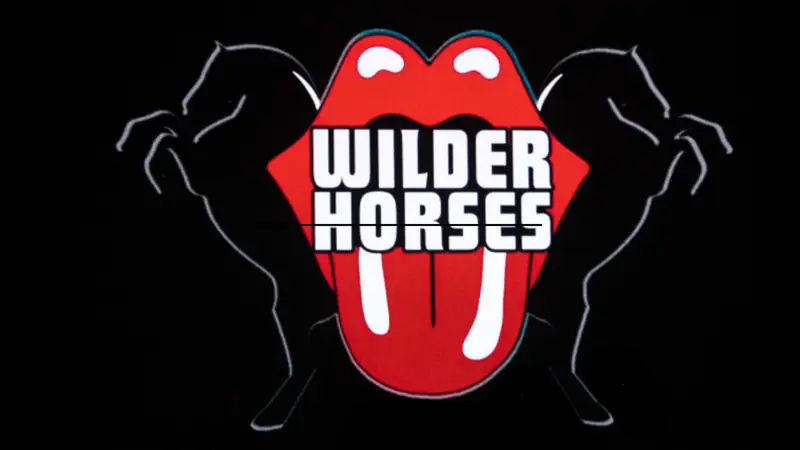 Wilder Horses: A Tribute To The Rolling Stones à Elevation 27