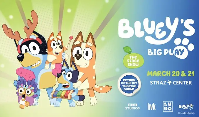 Bluey's Big Play