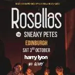 Rosellas at Sneaky Pete's