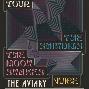 The Shindigs