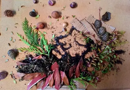 Environmental Art Club