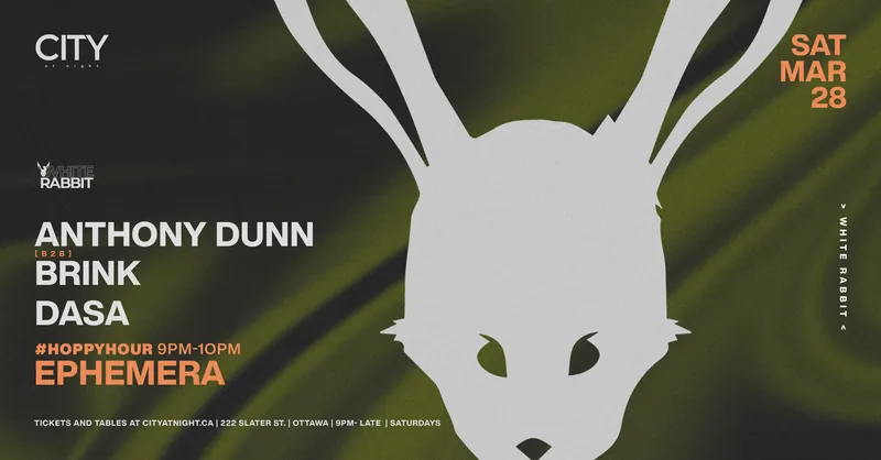 WHITE RABBIT
