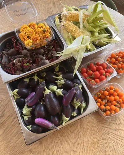 Black Radish x Rooftop Farm Wimbledon