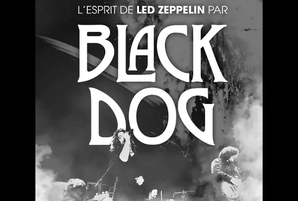 Black Dog