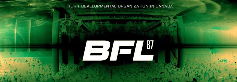 Bfl 87