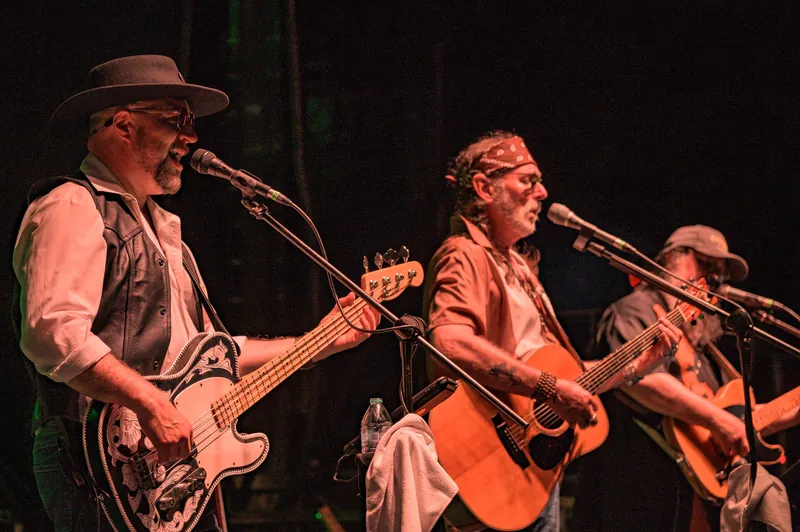 A Tribute to Waylon, Willie and the Boys