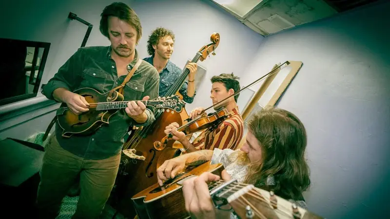 The Fretliners