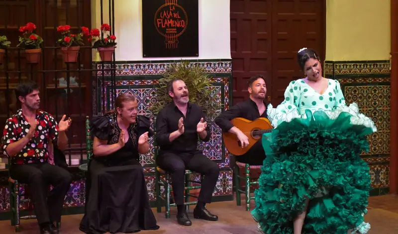 Espectáculo de Flamenco en La Casa del Flamenco - Auditorio Alcántara