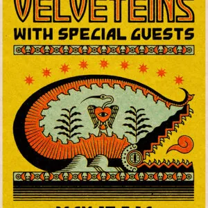 The Velveteins