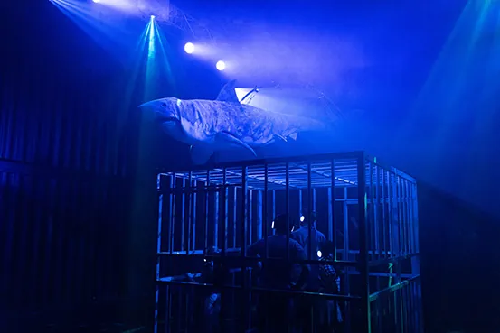 Erth's Shark Dive