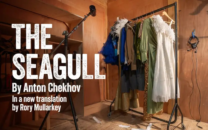 The Seagull