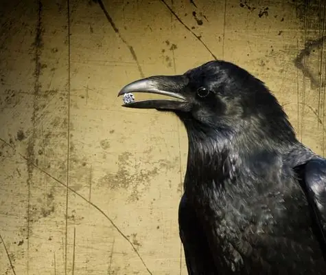 A Murder of Crowes