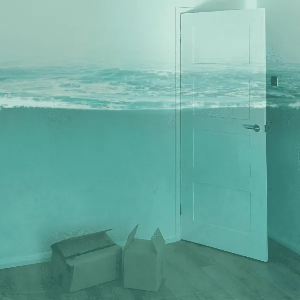 Ebb & Flow