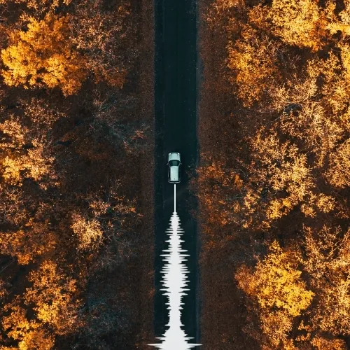 Echolocation