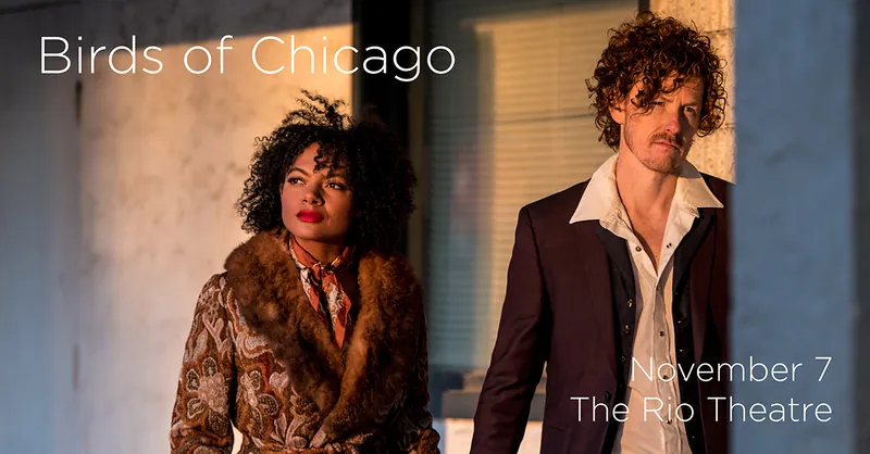 Birds of Chicago