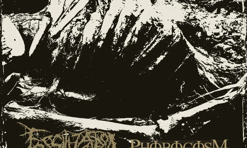 Fossilization at The Black Heart