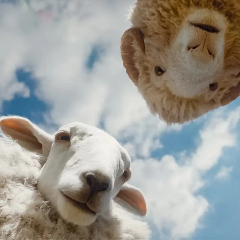 The Sheep Detectives (PG)