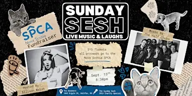 Sunday Sesh - SPCA Show at The Basement of The Shoe