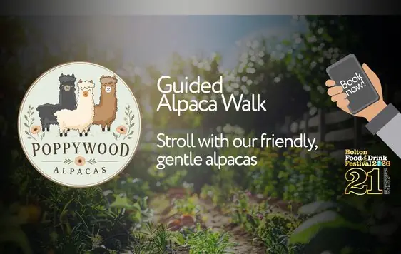 Guided Alpaca Walk at Octagon Theatre