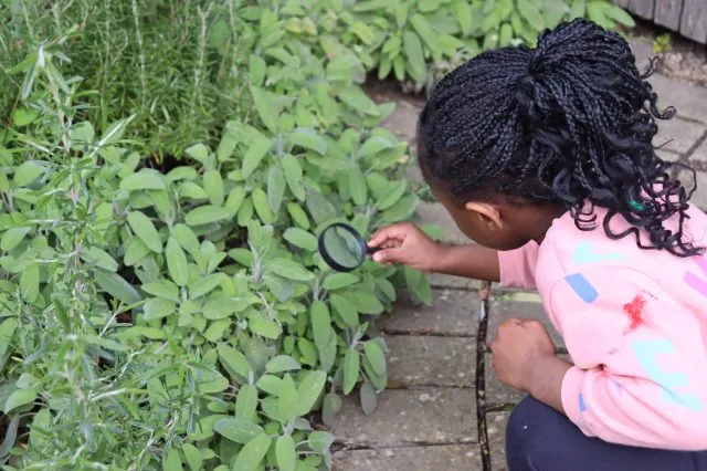 Children’s Garden Trail à South London Gallery