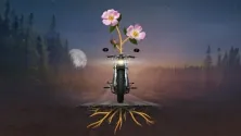 The Rose