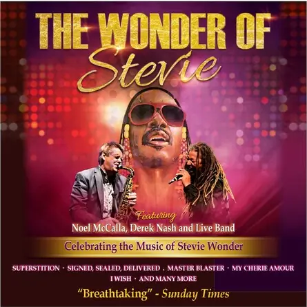 THE WONDER OF STEVIE à St Helens Theatre Royal