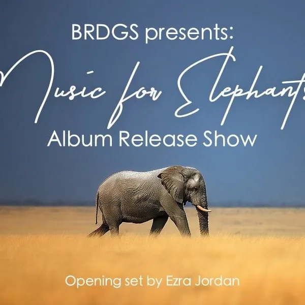 BRDGS Album Release Show "Music for Elephants" at Burdock Music Hall
