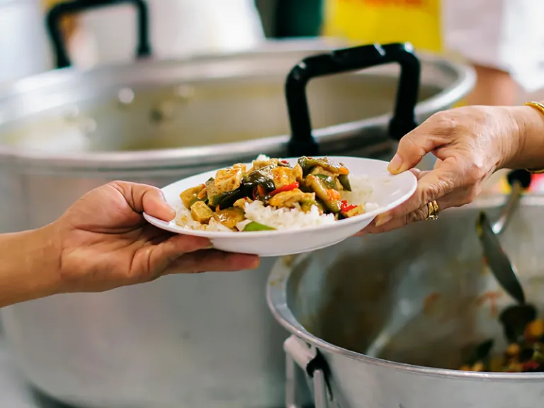 Feeding Change, Building Food Security