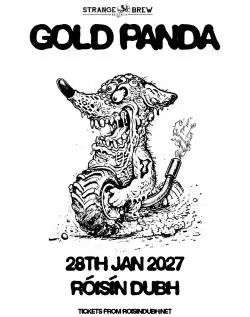 Gold Panda
