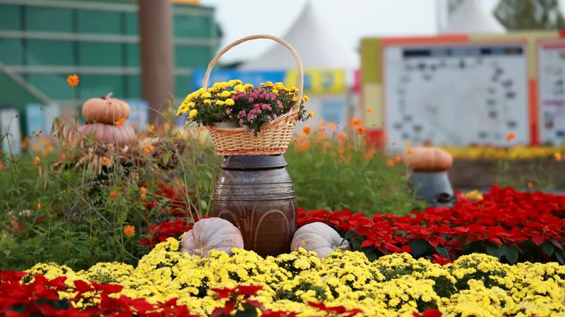 Planting Bulbs for Seasonal Displays en Myriad Botanical Gardens