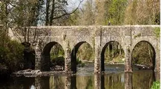 Getting to know the Sixmile Water @ Antrim Castle Gardens à Antrim Castle Gardens (Meeting Point: Antrim Castle Gardens Courtyard - Wolfhound Statue)