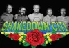 Shakedown Citi