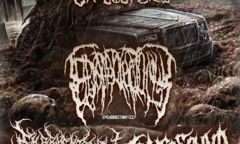 Epicardiectomy