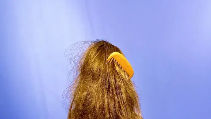 Comb