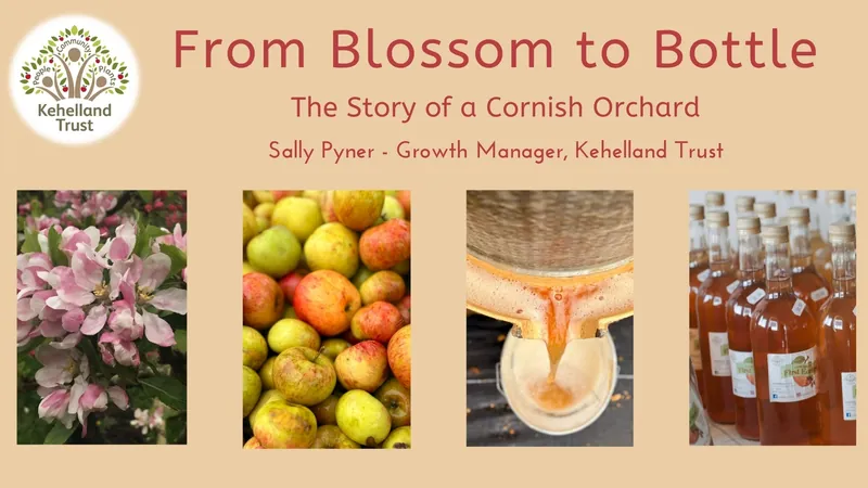 The Story of a Cornish Orchard en Royal Cornwall Polytechnic Society