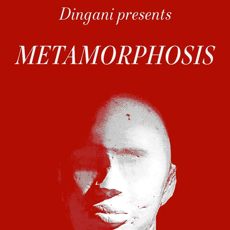METAMORPHOSIS at Burdock Music Hall