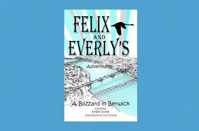 BLF 2026: Carolina Ewing: A Blizzard in Berwick à The Maltings Theatre & Cinema