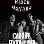 Black Havana
