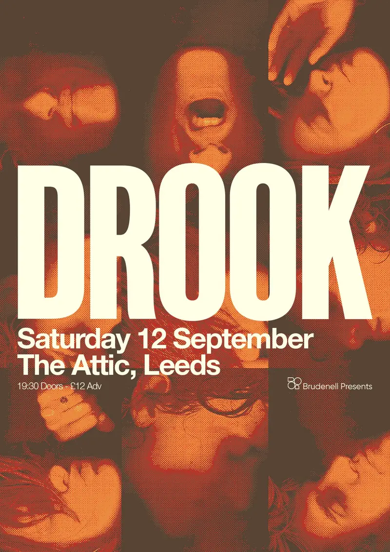 Drook