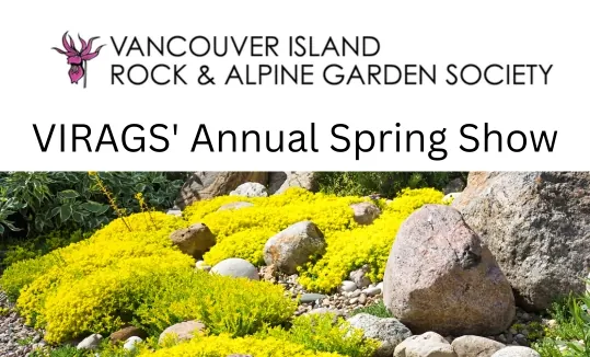 VIRAGS’ Annual Spring Show at Mary Winspear Centre