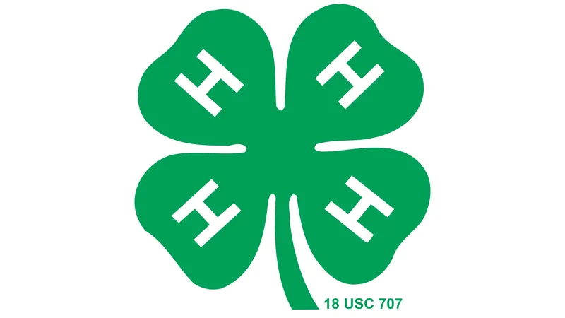 Chittenden County 4-H Foundation Benefit Horse Show
