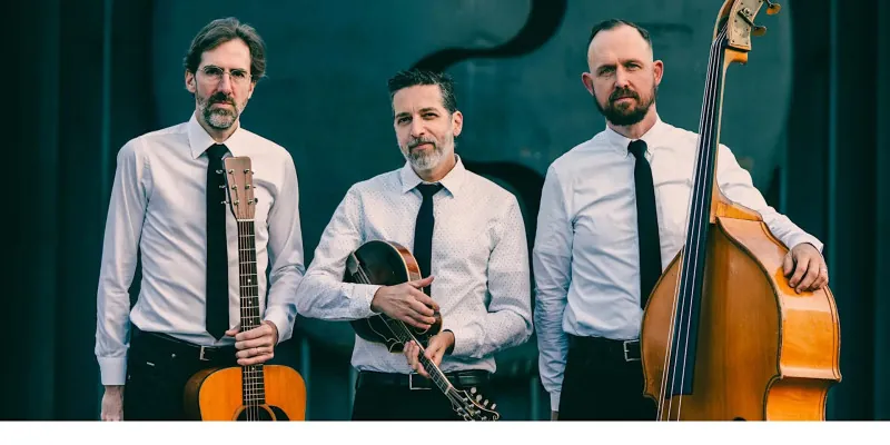 The Andrew Collins Trio