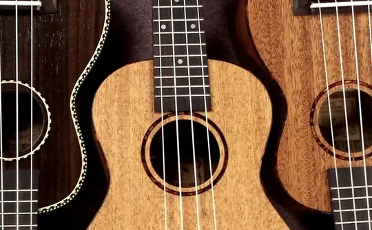 Ukulele Improvers en Theatre Royal