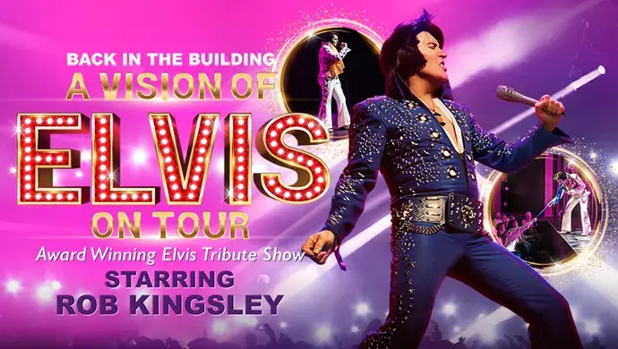 A Vision of Elvis