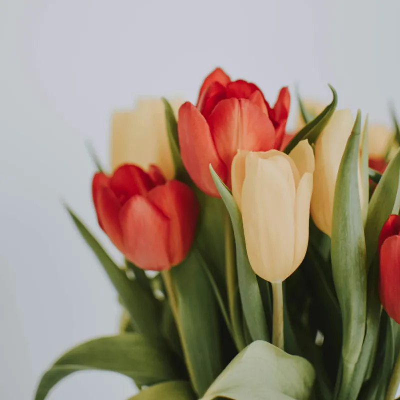Mothers’ Day