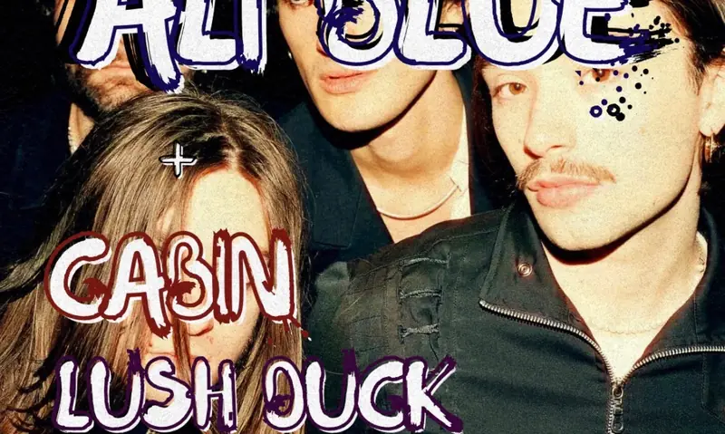 Ali Blue, Cabin, Lush Duck