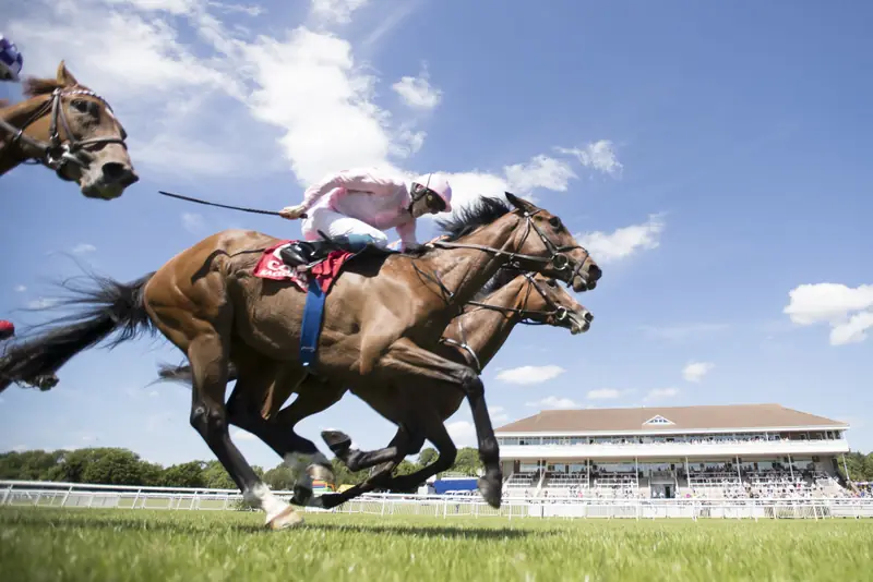 Cork Racecourse Mallow in Mallow, MUN