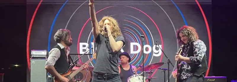 Black Dog - The Spirit of Led Zeppelin