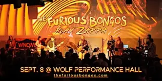 The Furious Bongos