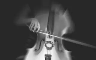 Haydn & Shostakovich en Great Hall